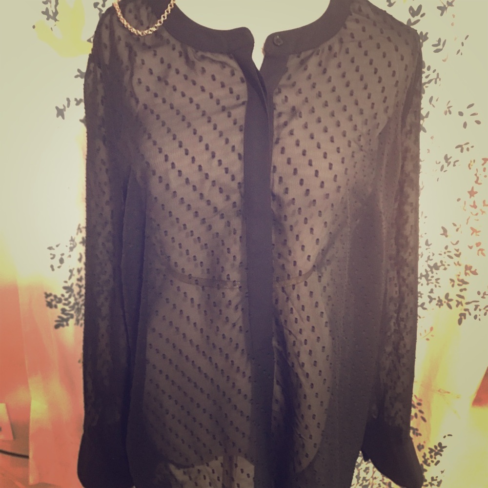 Sheer merona long sleeve top